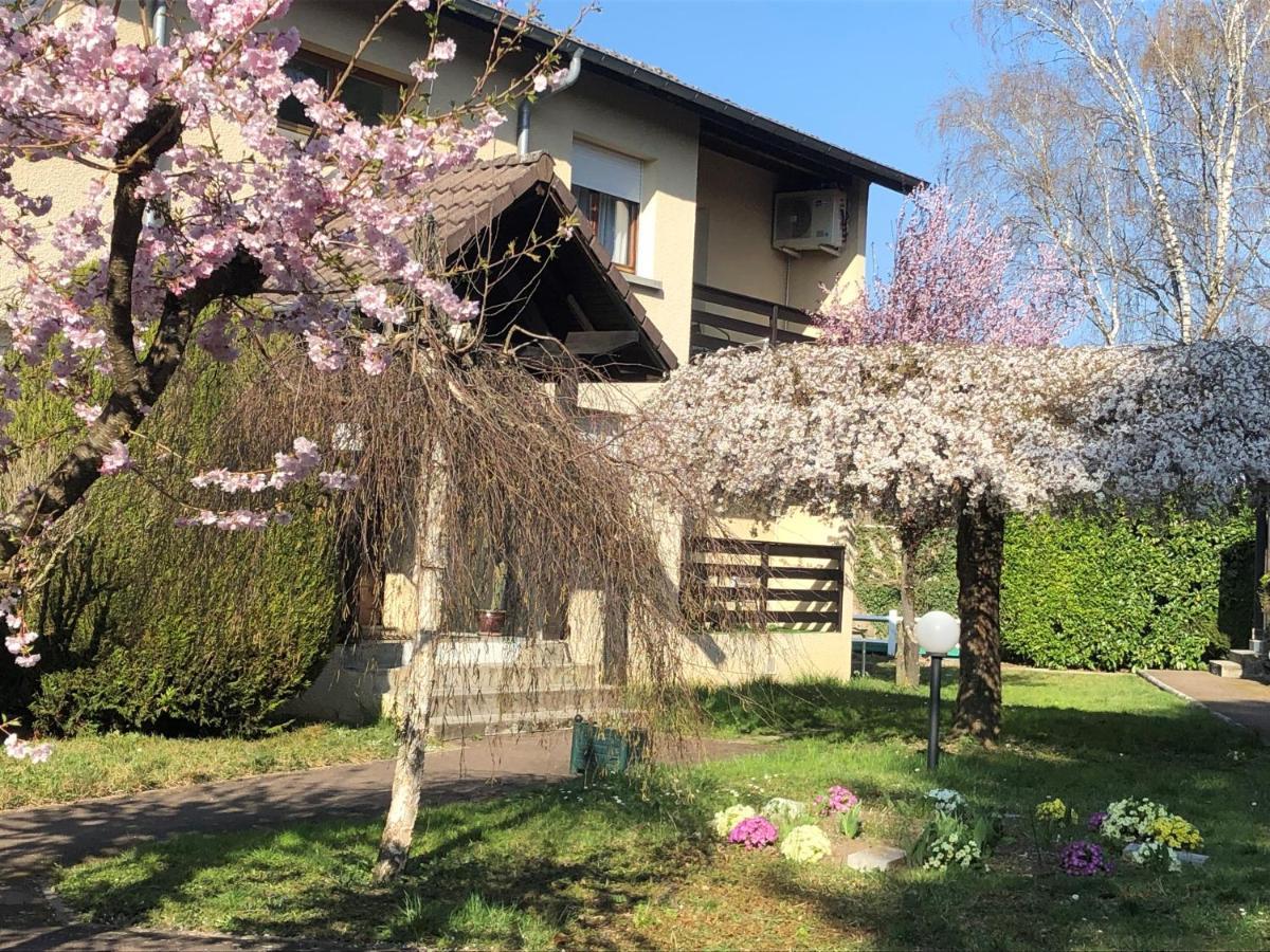 Les Tilleuls Montbeliard Sud Audincourt Экстерьер фото